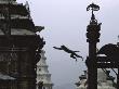 Ape Jumping, Nepal by Michael Brown Limited Edition Print