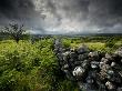 Dark Storm Clouds Above Stone Wall Near Combestone Tor, Devon, Dartmoor Np, Uk by Ross Hoddinott Limited Edition Print