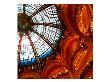 Galleries Lafayette Ceiling, Paris by Tosh Limited Edition Print