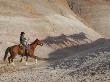 Cowboy Chasing Shadow Horses, Flitner Ranch, Shell, Wyoming, Usa by Carol Walker Limited Edition Pricing Art Print