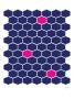 Navy Pink Trellis by Avalisa Limited Edition Print