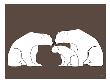 Brown Polar Bears by Avalisa Limited Edition Pricing Art Print