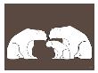 Brown Polar Bears by Avalisa Limited Edition Print