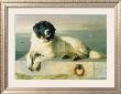 A Distinguished Member Of The Humane Society by Sir Edwin Landseer Limited Edition Print