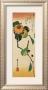 A Japanese White-Eye On A Persimmon Branch by Ando Hiroshige Limited Edition Print
