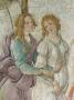 Venus Et Les Trois Graces (Detail) by Sandro Botticelli Limited Edition Print