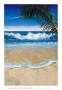 Palm Breezes Ii by Jaqueline Kresman Limited Edition Print