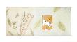 Autumn Bamboo by Deborah Roundtree Limited Edition Print