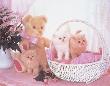 Pink Cats And Teddy by Diane Leis Limited Edition Print