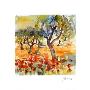 Sommergarten by J. Hammerle Limited Edition Print