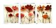 Wild Flowers by Deborah Schenck Limited Edition Print