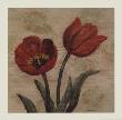 Tulips On Wood by Wendy Wegner Limited Edition Print
