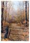 Hardwood Lane by J. Vanderbrink Limited Edition Pricing Art Print