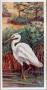 Bayou Heron Iii by Rose Cravens Limited Edition Print