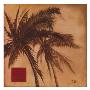 Sephia Palm Ii by Patricia Quintero-Pinto Limited Edition Print