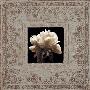 Estate Peony by Julie James Limited Edition Pricing Art Print
