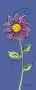 Purple Daisy by Alison Jerry Limited Edition Print