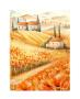 Campo Di Papaveri by Svetlana Limited Edition Print