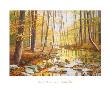 Golden Flow by Gene Mcinerney Limited Edition Print