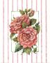 Striped Botanical Rose by Jerianne Van Dijk Limited Edition Pricing Art Print