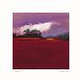 Autums Hills by Spencer Lee Limited Edition Print