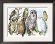 Hoot Of Owls by Theodore Jasper Limited Edition Pricing Art Print