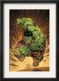 Marvel Adventures Hulk #14 Cover: Hulk by David Nakayama Limited Edition Print