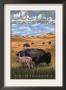 Custer State Park - Buffalo Herd And Calf, C.2008 by Lantern Press Limited Edition Print