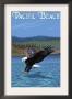Fishing Eagle - Pacific Beach, Washington, C.2009 by Lantern Press Limited Edition Pricing Art Print