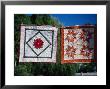 Amish Quilts, Lancaster, Pa by Phyllis Picardi Limited Edition Pricing Art Print