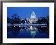 Us Capitol And Christmas Tree by Walter Bibikow Limited Edition Print