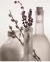 Lavender Bottles by Julie Greenwood Limited Edition Print