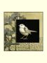 Bird Fantasy Ii by Jennifer Goldberger Limited Edition Print