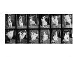 Dancing Girl, 1887 by Eadweard Muybridge Limited Edition Print