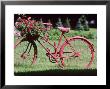 Red Bicycle With Flower Arrangement On The Handle Bars by Jean-Claude Hurni Limited Edition Pricing Art Print