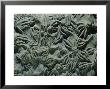 Crinoids, Warren County, Ohio by David M. Dennis Limited Edition Pricing Art Print
