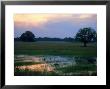 Wetland In The Hungarian Puszta, Hungary by Berndt Fischer Limited Edition Print