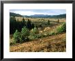 Grassland And Mountains, Czech Republic by Berndt Fischer Limited Edition Print