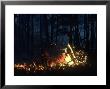 Fire, Usa by Stan Osolinski Limited Edition Print