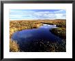 Peatland Or Flow Country, Caithness, Scotland by Iain Sarjeant Limited Edition Print