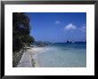 Harbor And Sidewalk, Bequia, Grenadines by Reid Neubert Limited Edition Print