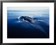 Fin Whale, Surfacing, Sea Of Cortez by Gerard Soury Limited Edition Print