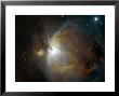 M42 Nebula In Orion by Stocktrek Images Limited Edition Pricing Art Print