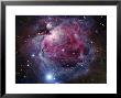 The Orion Nebula by Stocktrek Images Limited Edition Pricing Art Print