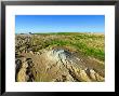 Mount Saint Helens by Stocktrek Images Limited Edition Print