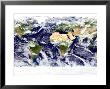 This Spectacular Image Is The Most Detailed True-Color Image Of The Entire Earth To Date by Stocktrek Images Limited Edition Print