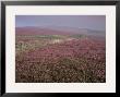 Moors Near Grinton, Yorkshire, England, United Kingdom by Michael Busselle Limited Edition Print