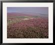 Moors Near Grinton, Yorkshire, England, United Kingdom by Michael Busselle Limited Edition Print