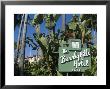 Beverly Hills Hotel, Beverly Hills, California, Usa by Ethel Davies Limited Edition Print
