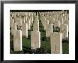 War Cemetery, 1939-1945, World War Ii, Bayeux, Basse Normandie (Normandy), France by Peter Higgins Limited Edition Print